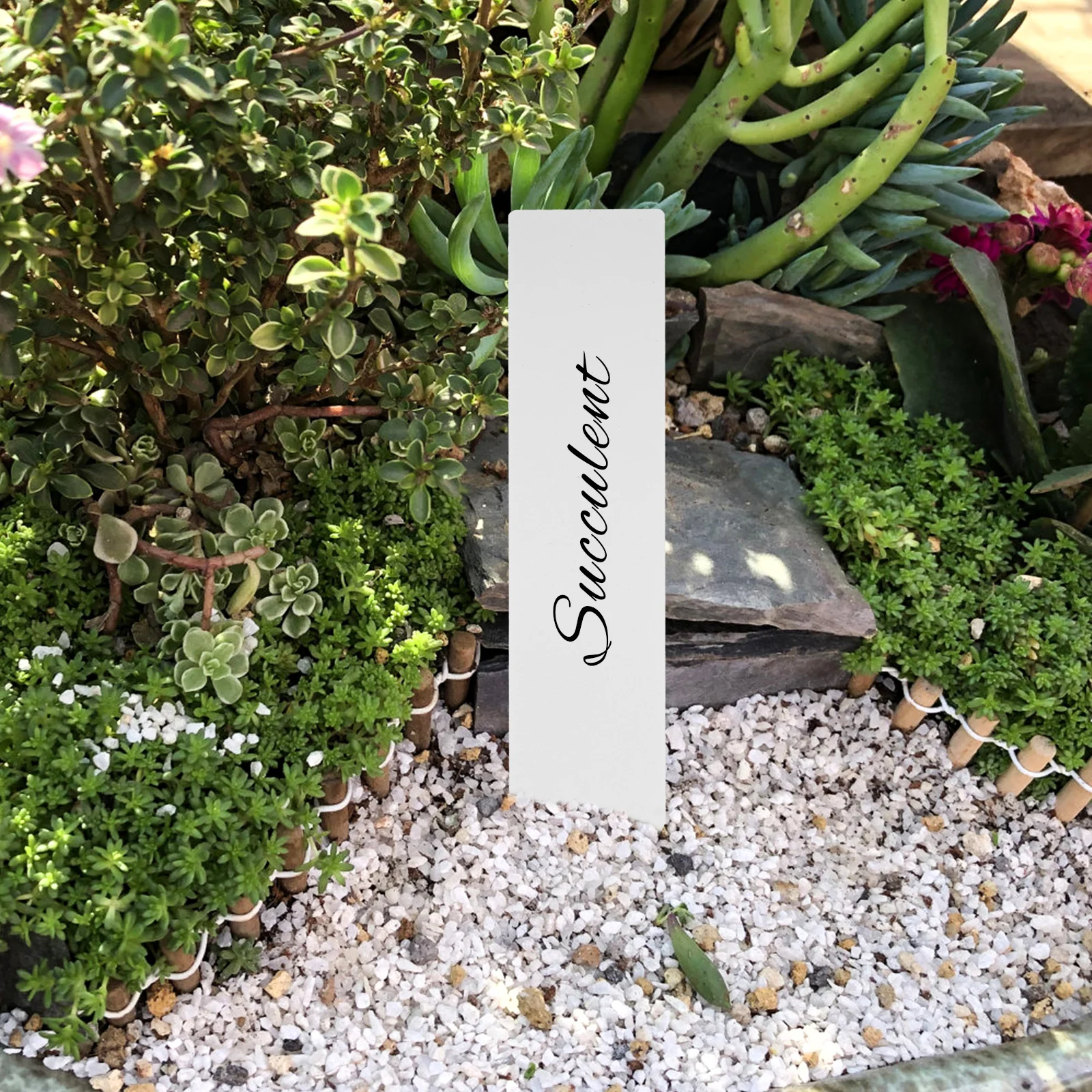 

200pcs Plant Labels Plastic Garden Tags For Succulents Nursery Markers Potted Plants Outdoor Flower Identifying Stakes
