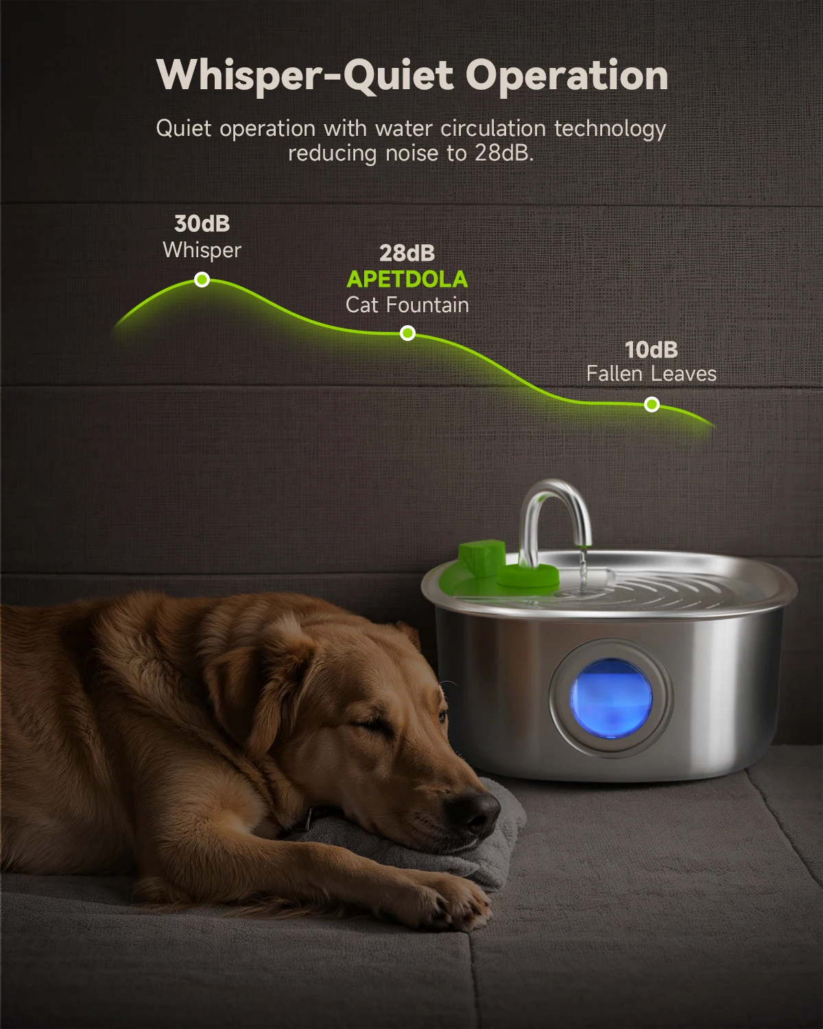 Thumbnail 4 - #76 Popular Stainless Steel Dog Bowls Choices