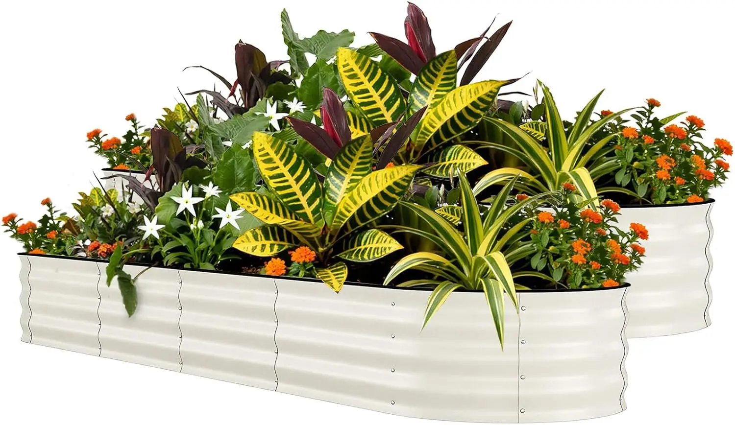 

2 Pcs Raised Garden Beds Outdoor 8x2x1.5 ft - Galvanized Steel Planter Box for Vegetables, Flowers, Rust-Resistant Garden Box