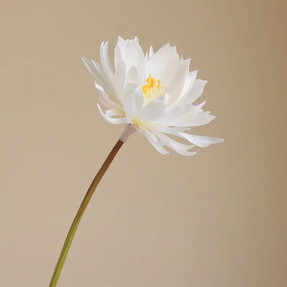 75 سنتيمتر باقة Epiphyllum الاصطناعية لمسة حقيقية اليدوية محاكاة فروع Epiphyllum أنيقة واقعية وهمية زهرة #5