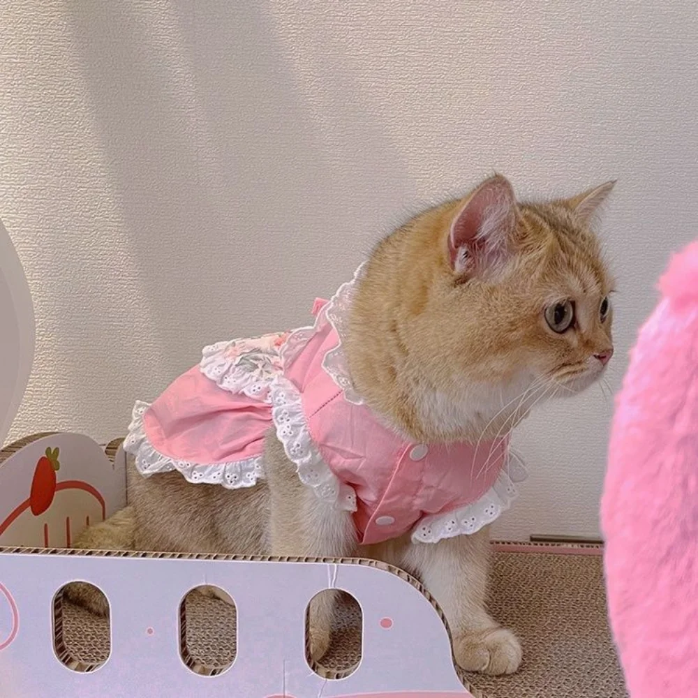 Princess cat skirt Cute Apron Dress Lace Floral Pink dog Dress for Teddy Small Dogs Puppy Clothes pink girl mascots