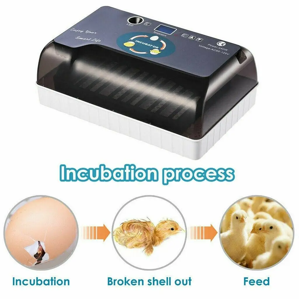 1pc Fully Automatic 12 Eggs Incubators Small Household Incubator Intelligent Incubator Hatching Machine Gardening Accessories