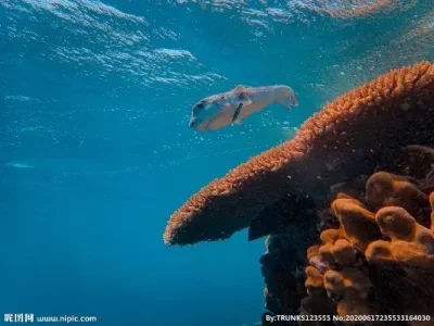 

Металлический компонент рулевого управления, усилитель рулевого управления для радиоуправляемых машинок Wltoys 12428 12423 1/12, Feiyue FY-01/02/03/04/05, запчасти для тюнинга