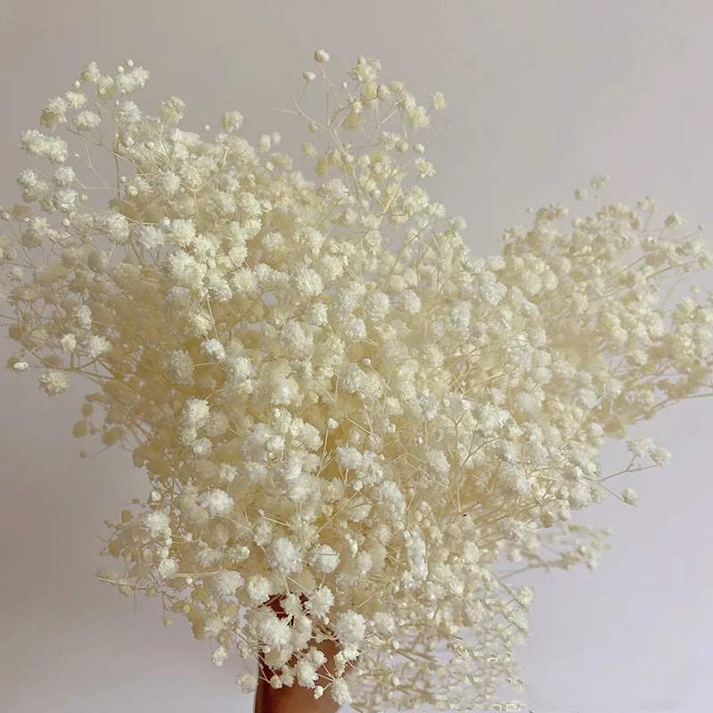 

80g A Lot Pure White Gypsophila Dried Flowers Natural Real Flower Dyed Bouquets For Wedding Home Decoration And Shooting Props