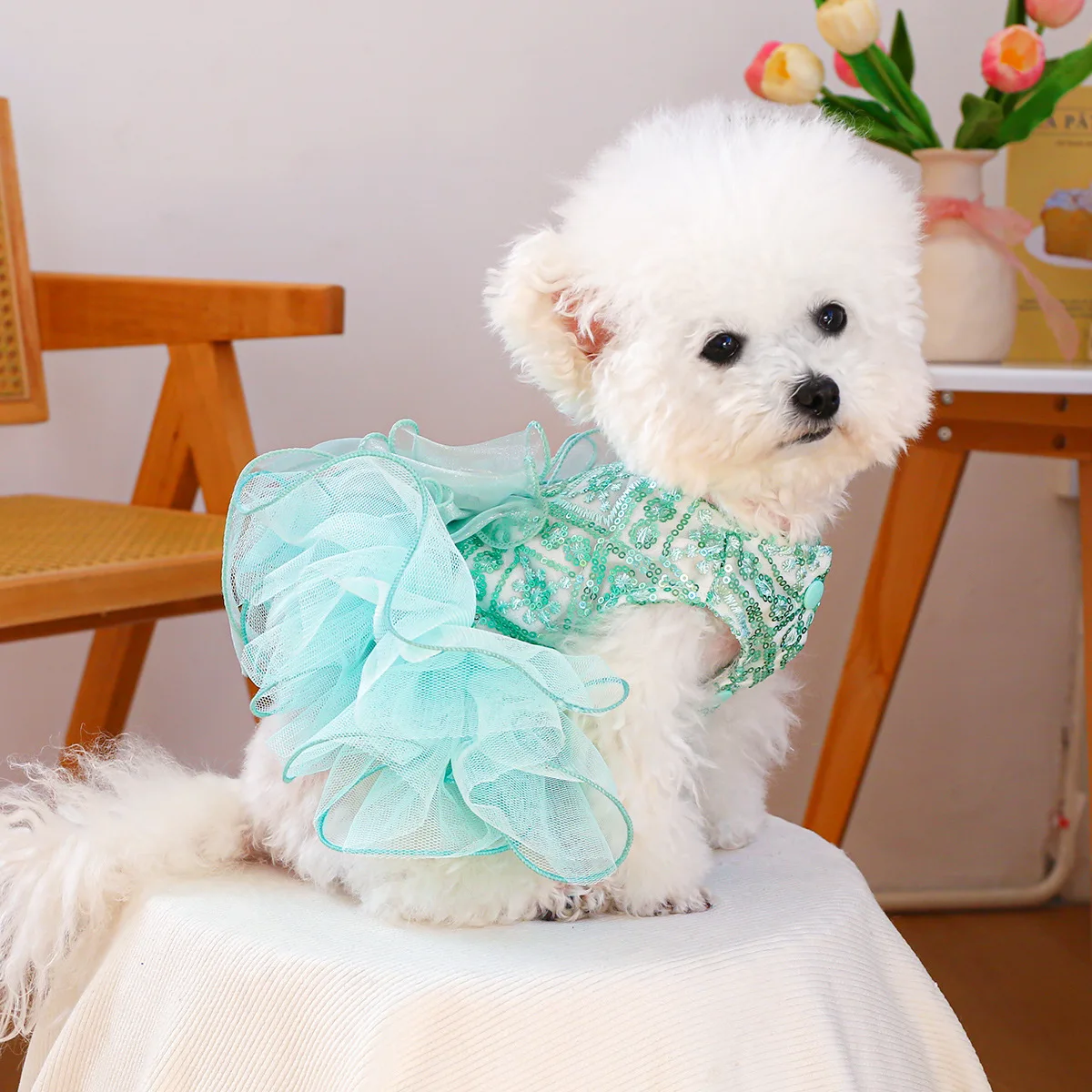 2026 pet clothing, dog and cat clothing, fluffy gauze, blue galaxy wedding dress, panda style