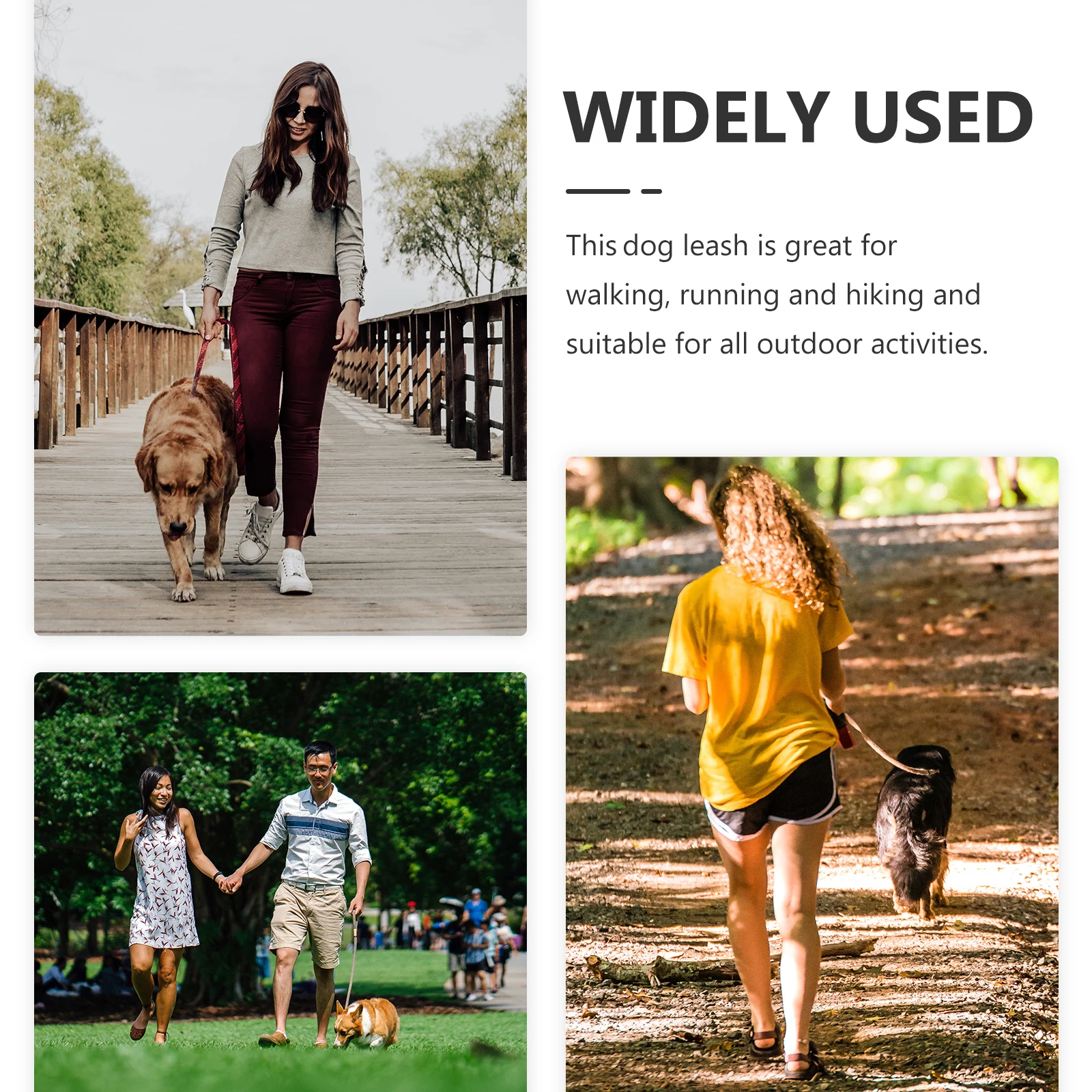 

Wear-Resistant Metal Dog Leash Steel Wire Chew Proof Puppy Traction Rope Lightweight Durable Anti-Bite Pet Chain