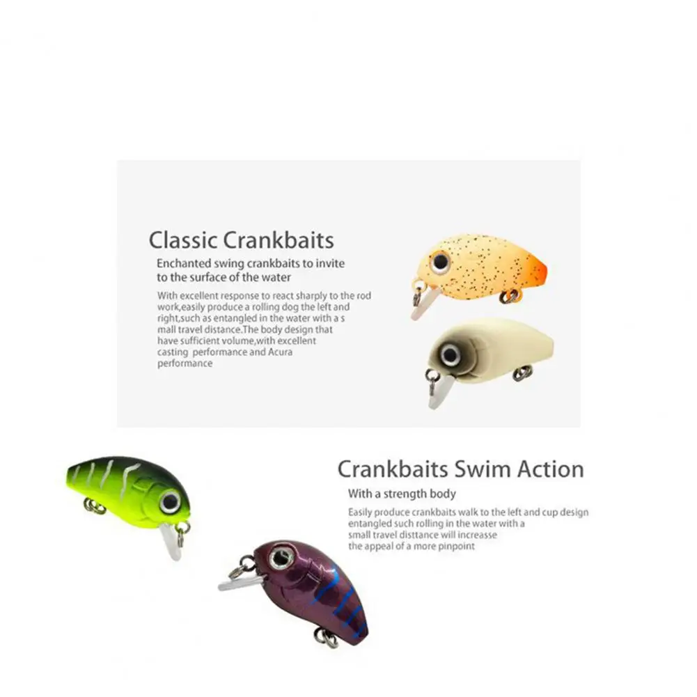 Lure Bait 1 Box Lightweight 3D Simulated Fisheye Bright Color  Freshwater Lure Hand Bait Fishing Ground