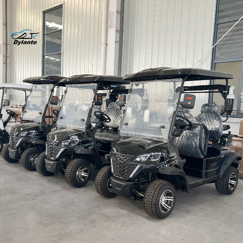 جديد وصول تلون 2 4 6 8 10 12 مقاعد على الطرق الوعرة الشارع النادي القانوني سيارة الصيد عربات التي تجرها الدواب عربة جولف كهربائية #2