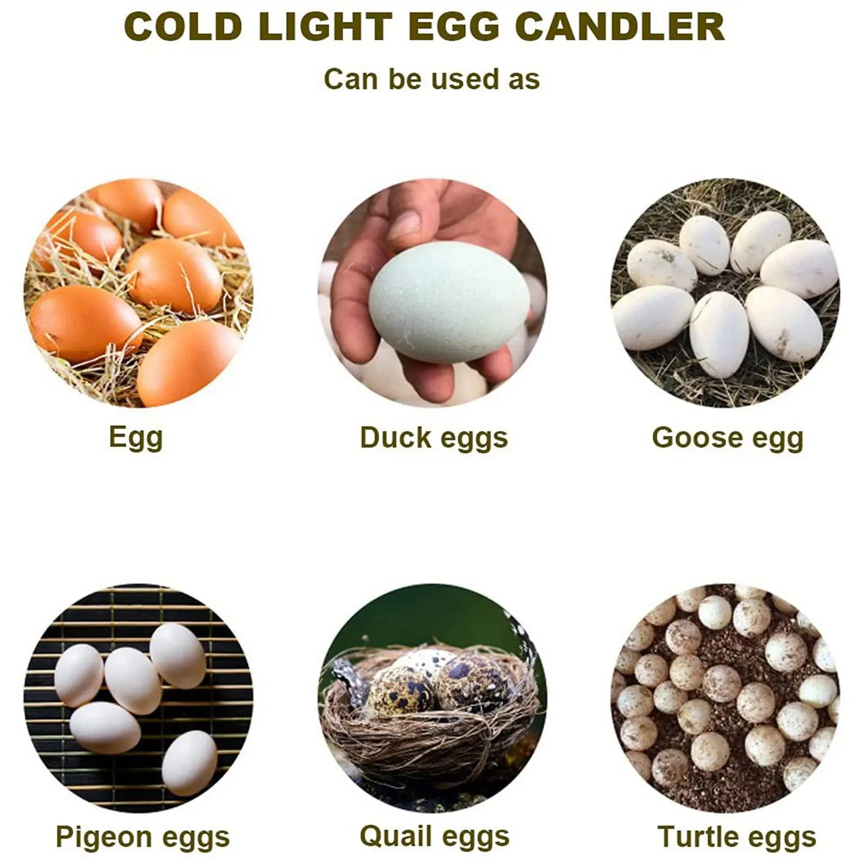 

Беспроводной инкубаторный светильник-тестер для проверки яиц A36T-2X с холодным светом, перезаряжаемый, с двумя мягкими насадками, подходит для всех типов яиц