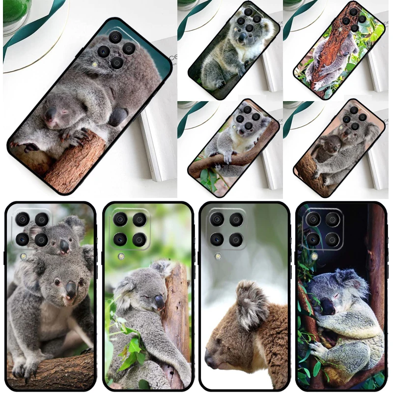 Australian Koala Co…