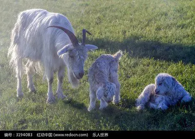 

Автомобильный электростатический адсорбционный люк на крыше, солнцезащитные чехлы для XPENG G6 2023 2024 2025, теплоизоляционная наклейка в стиле мансарда, автоаксессуар