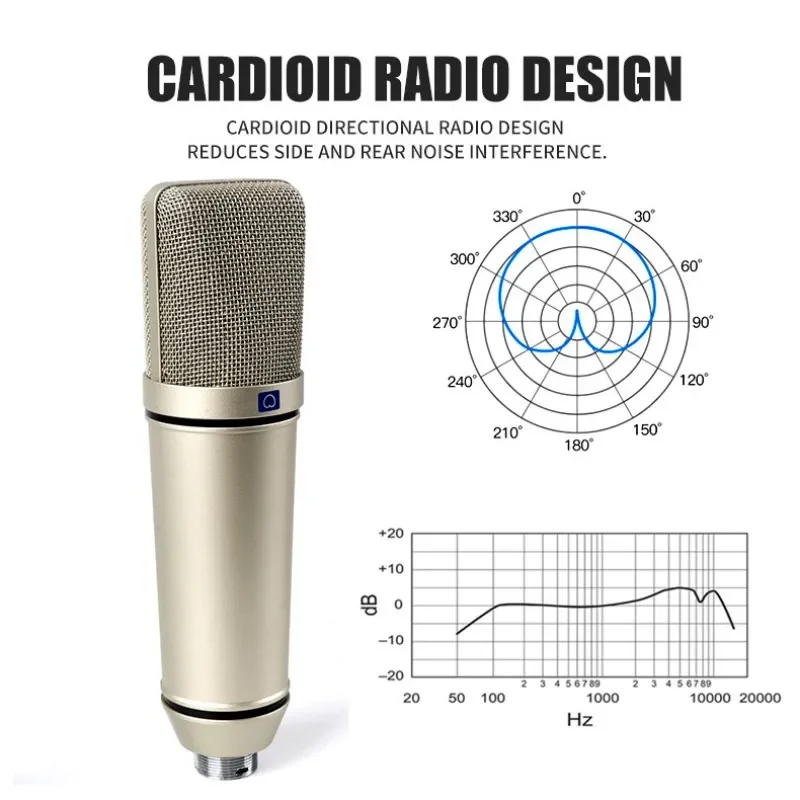 RAYHAYES U87 Microfono a condensatore Microfono da studio cardioide professionale per podcasting Streaming Home Studio Attrezzature di registrazione