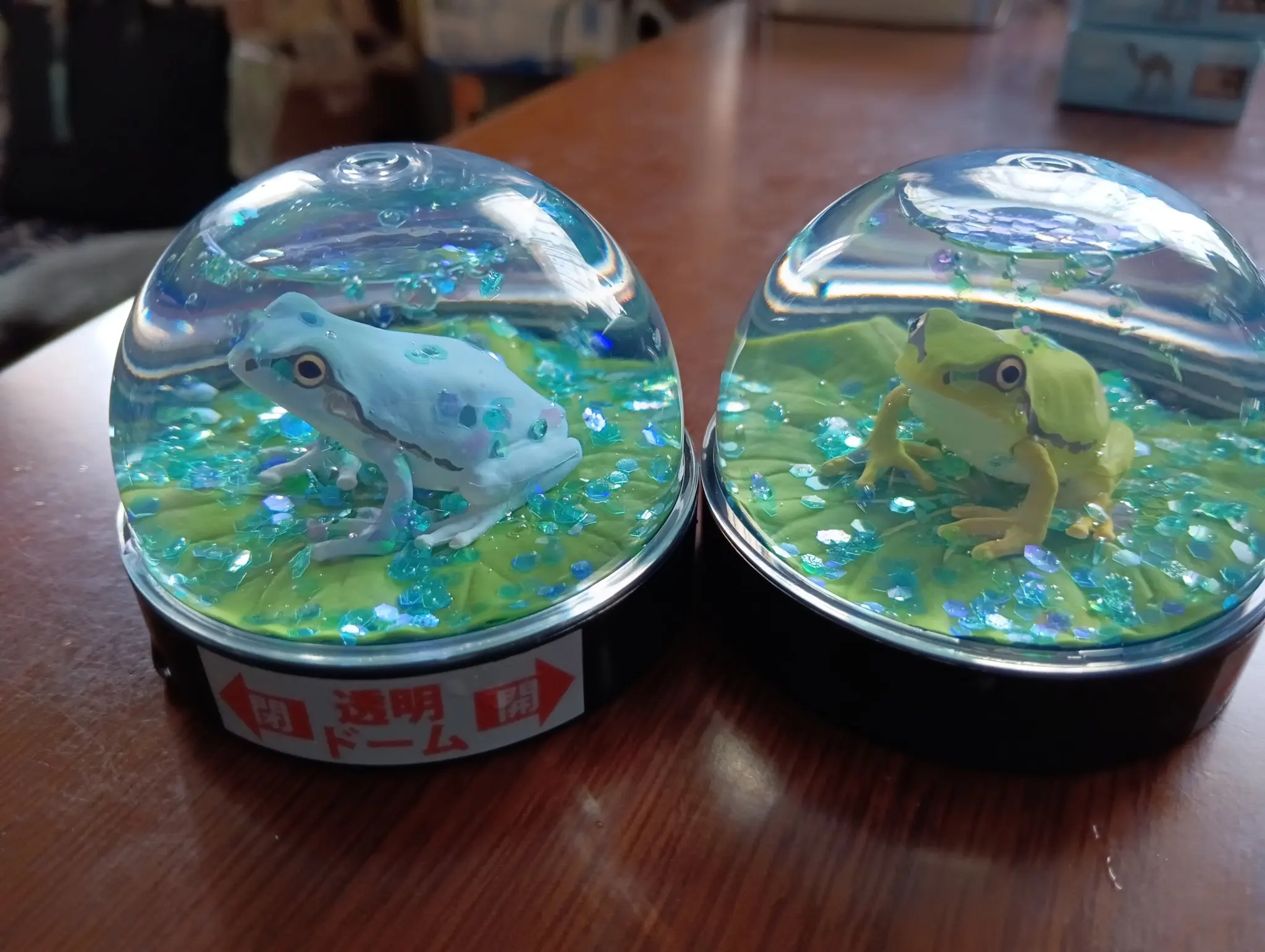 KITAN capsula giocattoli Water Dome Factory giapponese rana dell'albero sulla foglia di otus trasparente scaglie scintillanti globo di neve figure ornamentali