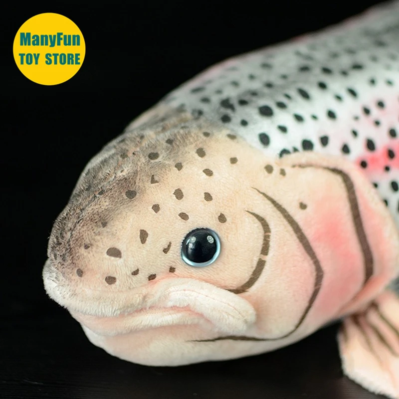 Regenboogforel knuffel - levensechte zalmvis knuffeldier, realistische zachte forel knuffel, Kawaii zoetwatervis pop cadeau