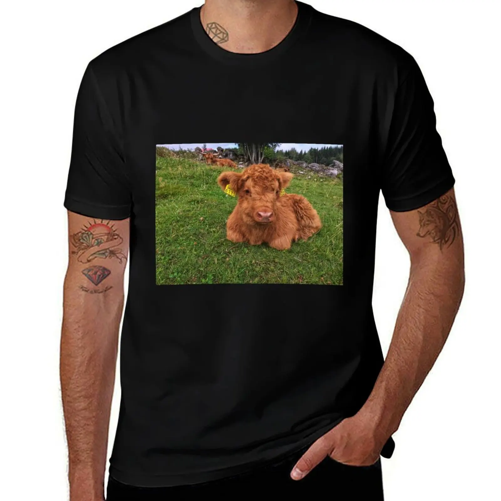 

Scottish Highland Cattle Calf 1808 T-Shirt t shirt men 100% cotton luxury brand funny t shirts cotton T-Shirt