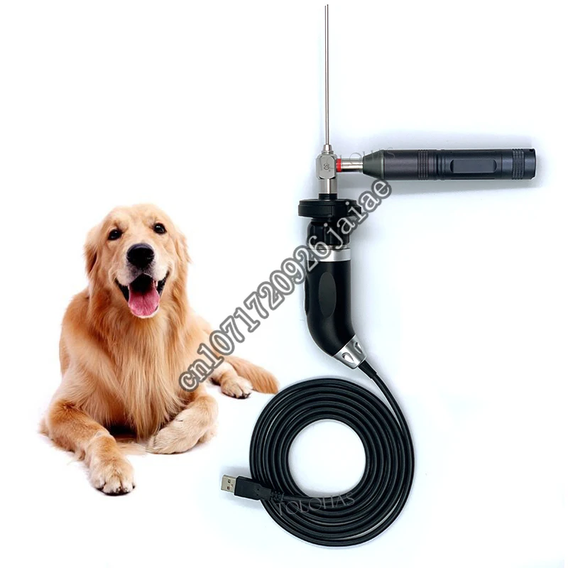 

LHPU300HD Pet Hospital Easy Using Full HD 1080P USB 3.0 ENT Cheap Vet Endoscope For Sale