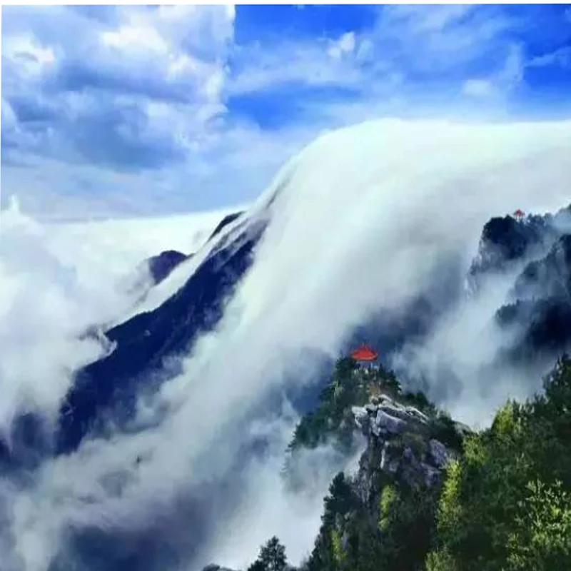 

HGLRC ELRS GEMINI RX Dual Receiver 2.4G/915Mhz for RC Airplane FPV Long Range Drone