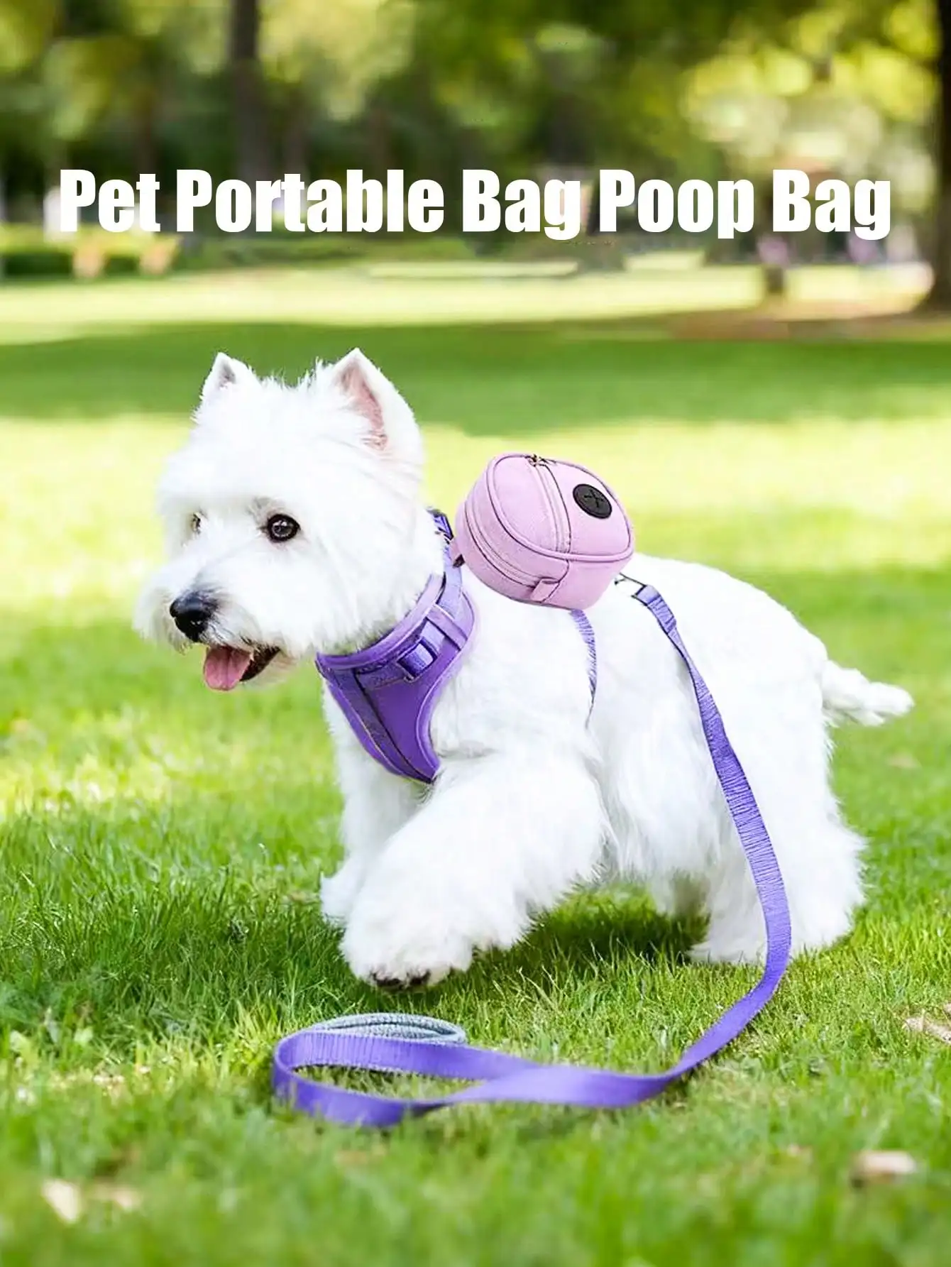 PETSIN 1 Style Pet Poop Bag Holder, Human And Pet Crossbody Bag, Portable Poop Bag Dispenser, Pet Outdoor Training Bag, Treat Bag, Storage Bag,