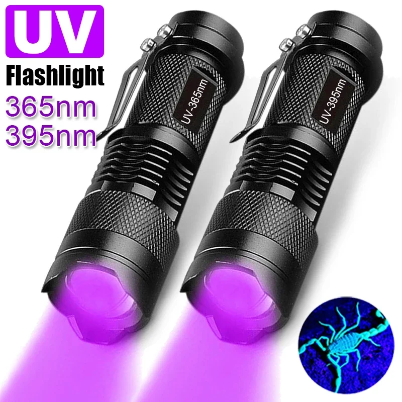 Tocha Ultravioleta LED, Lanterna Zoomable, Mini Luzes Ultra Violeta, Lâmpada de Inspeção, Pet Ferramentas Detector de Mancha de Urina, 395 nm, 365nm