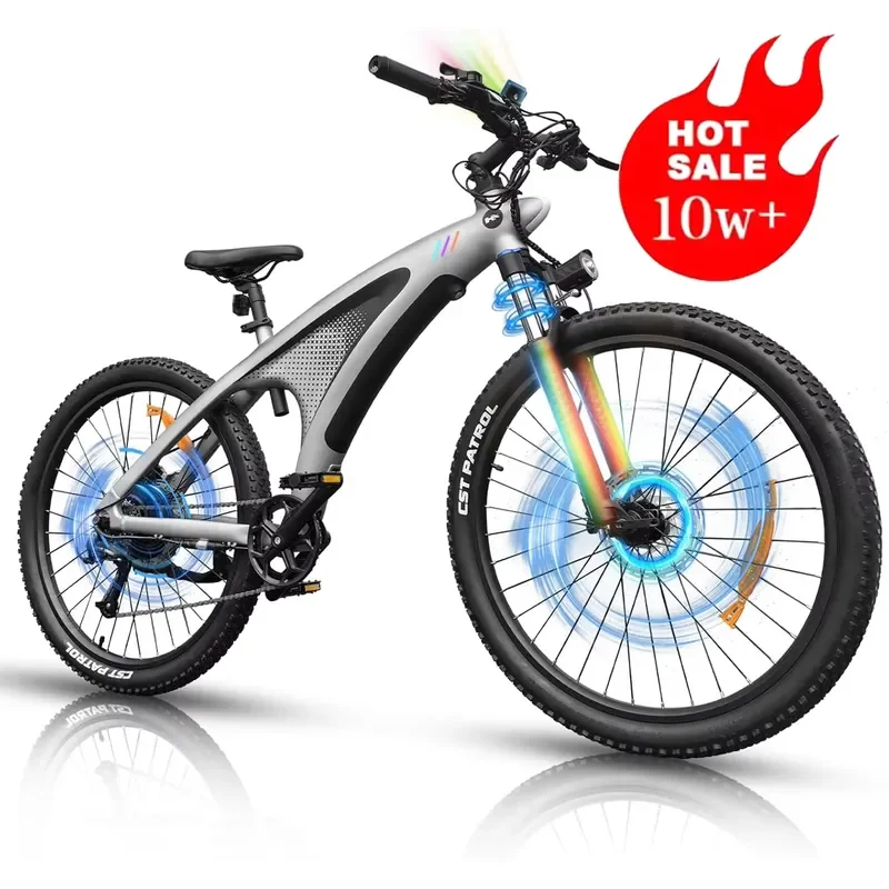 STLF Wholesale Adult Step Through E-Bike, 48V 13Ah Lithium Ion Battery 27.5*2 Tire Road Snow Dirt Electric Bicycle