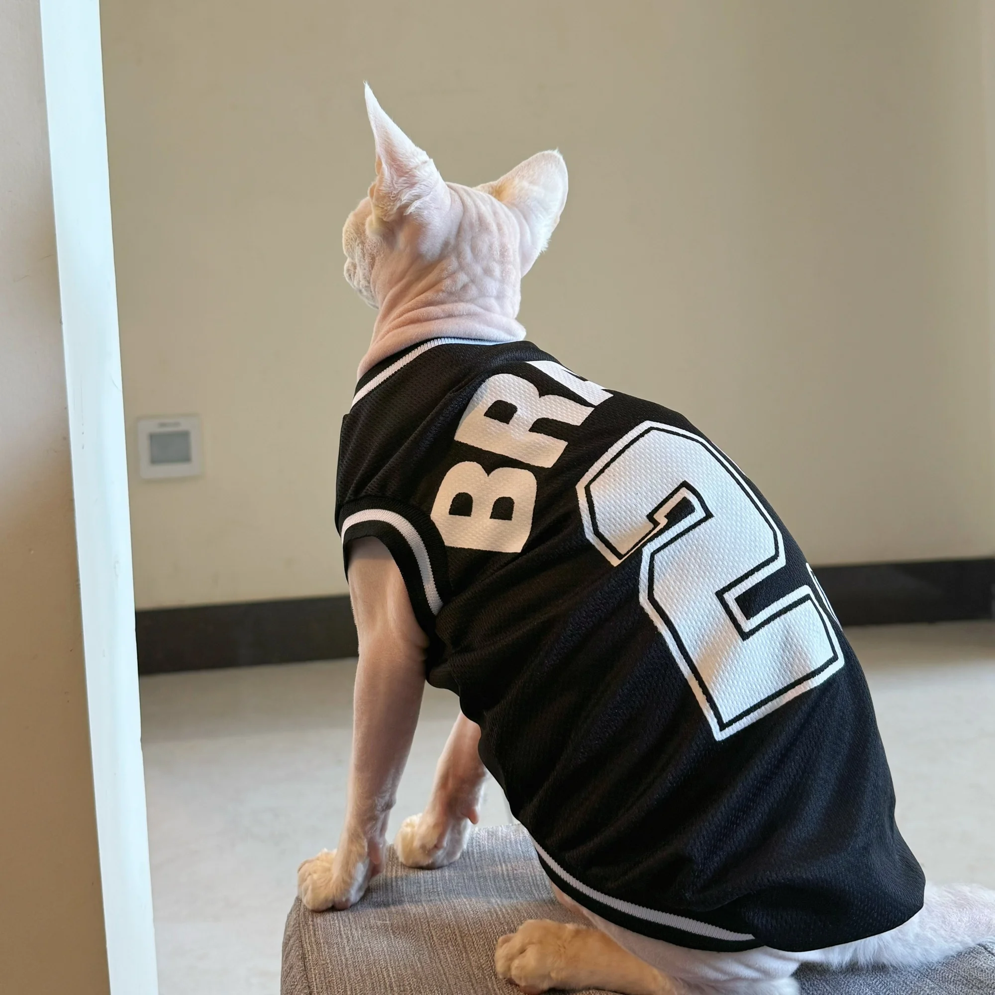 Camiseta transpirable con protección solar para gatos Sphynx - imagen 5