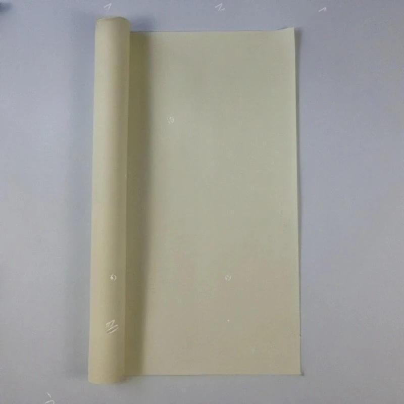 AMI7001 Anion Exchange Membrane