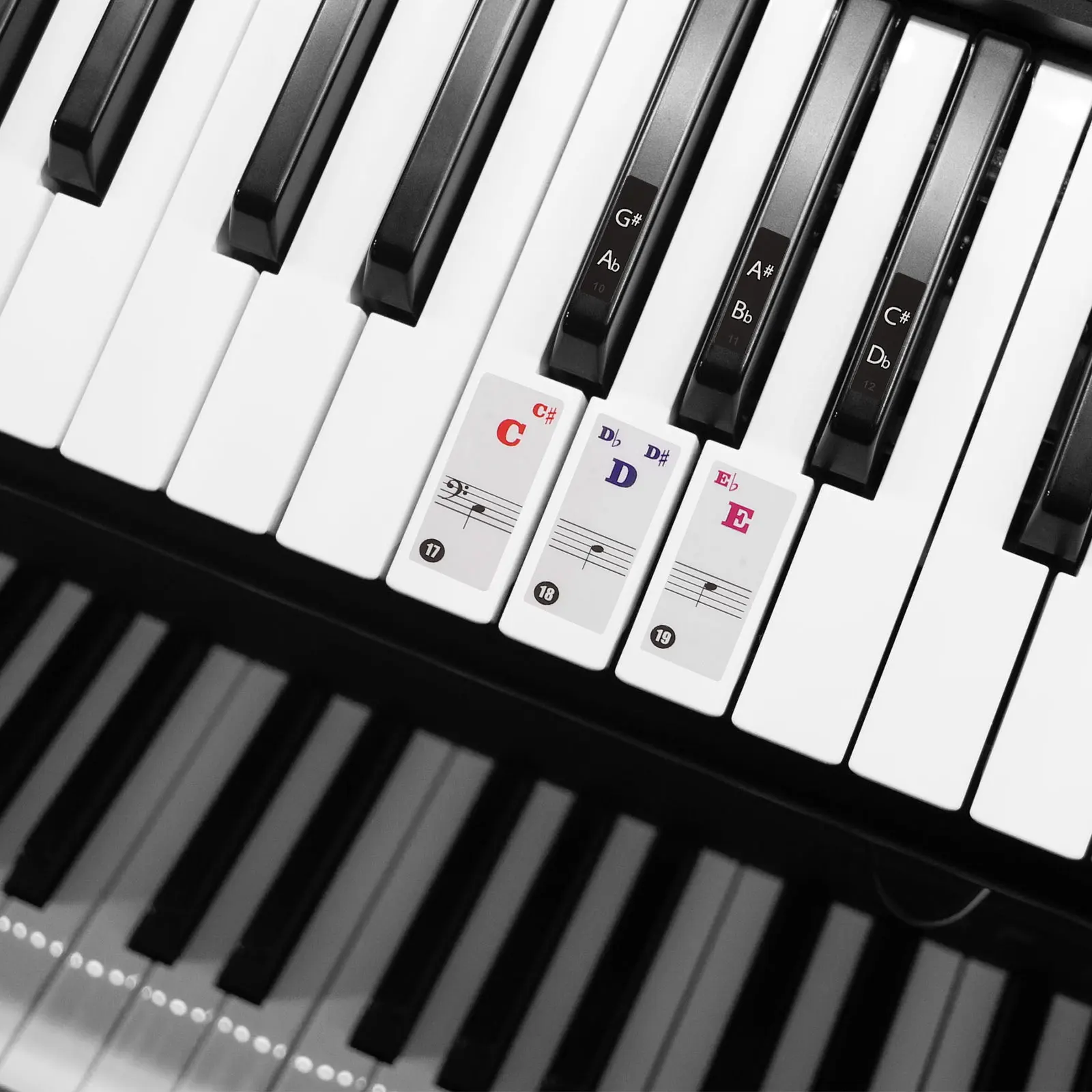 

Piano Keyboard Sticker 2 Sheets Colorful Decals for Keys Easy to Paste PVC Beginner Accessories Electronic Keyboard Note