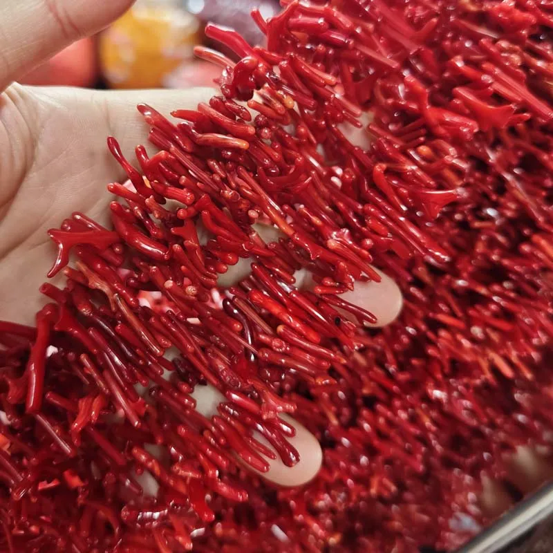 Image of Natürliche Korallenperlen in Rot-Orange, 3x10-20 mm, freiformige Zweigperlen, 15 Zoll, für DIY-Halsketten, Armbänder und Schmuckherstellung.