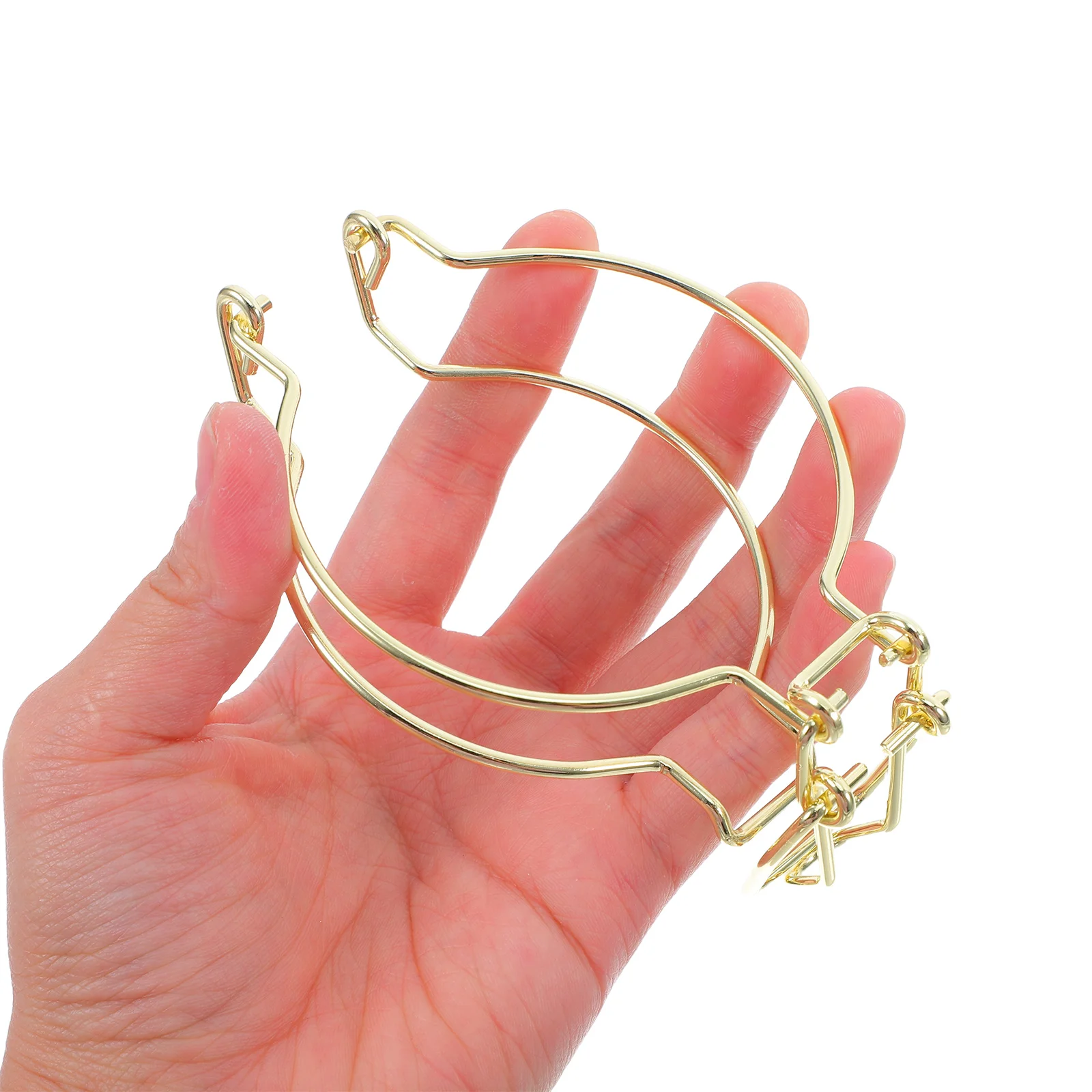 

10 Pcs Sealing Can Buckle Metal Glass Jars Stainless Steel Wire Lock Clip Fastening Clamp Storage Container Closure Kitchen