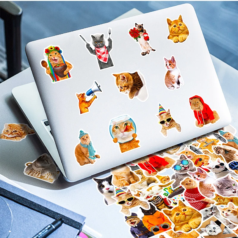 50PCS Funny Cat Meme Sticker Graffiti Animal Decals Bottle Kitten Stickers Laptop Luggage Notebook Refrigerator  Graffiti Decals