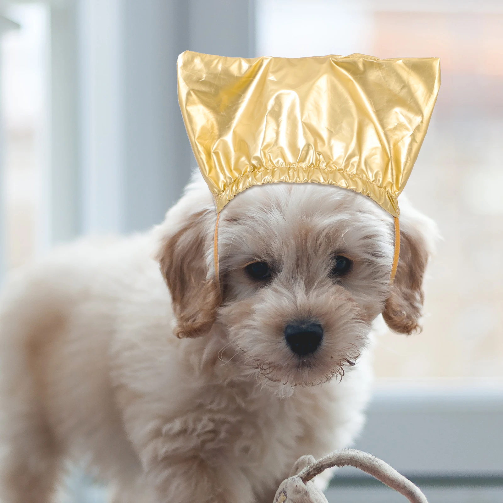 

2Pcs Pet Bath Hats Puppy Shower Caps Kitten Cat Dog Polyester Bathtime Ears Protection Size Dog Hats Household