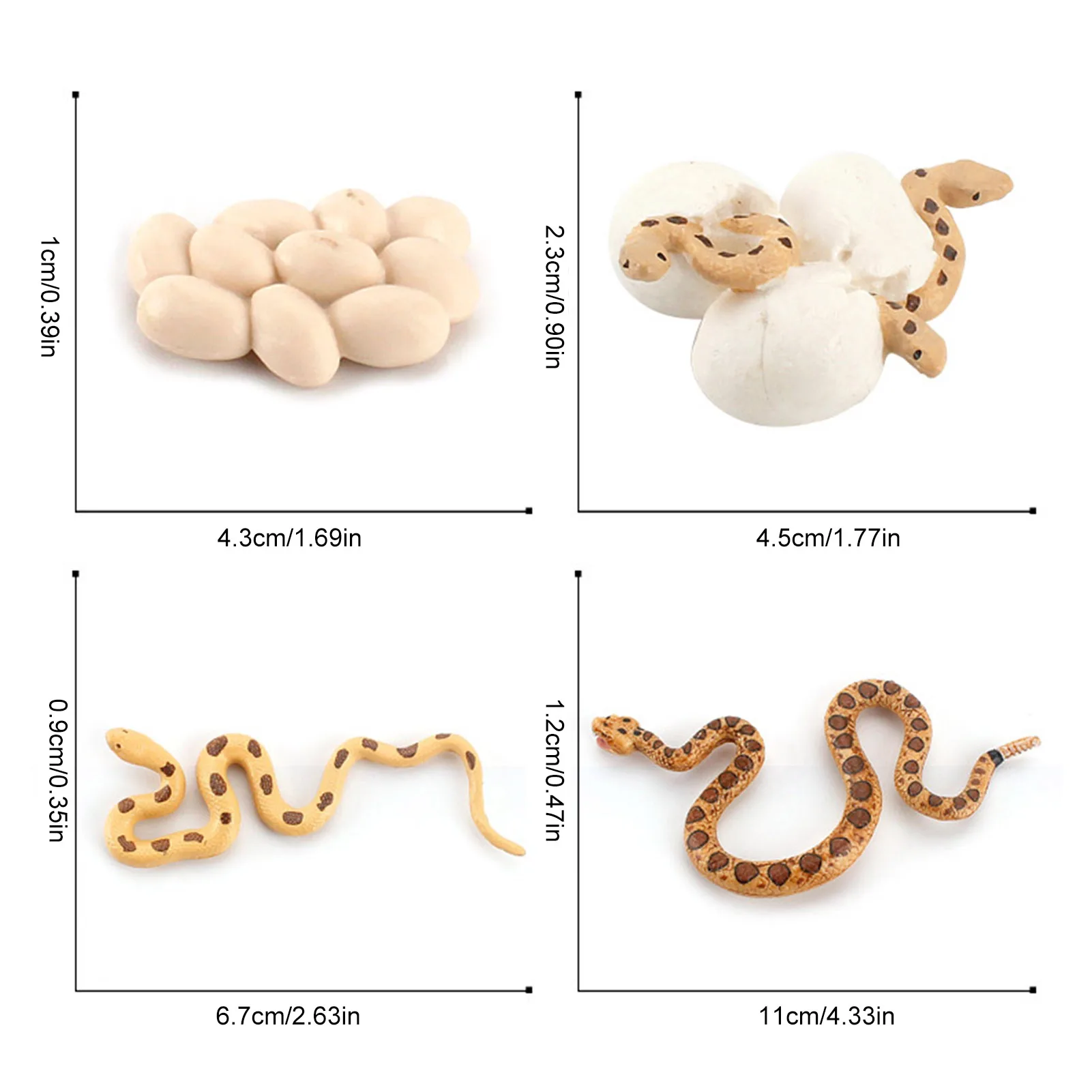 Realistic Rattlesnake Cobras Growth Cycle Model Hand Painted Figurine,Life Cycle Of Snake Miniature Educational Toy Figures Gift