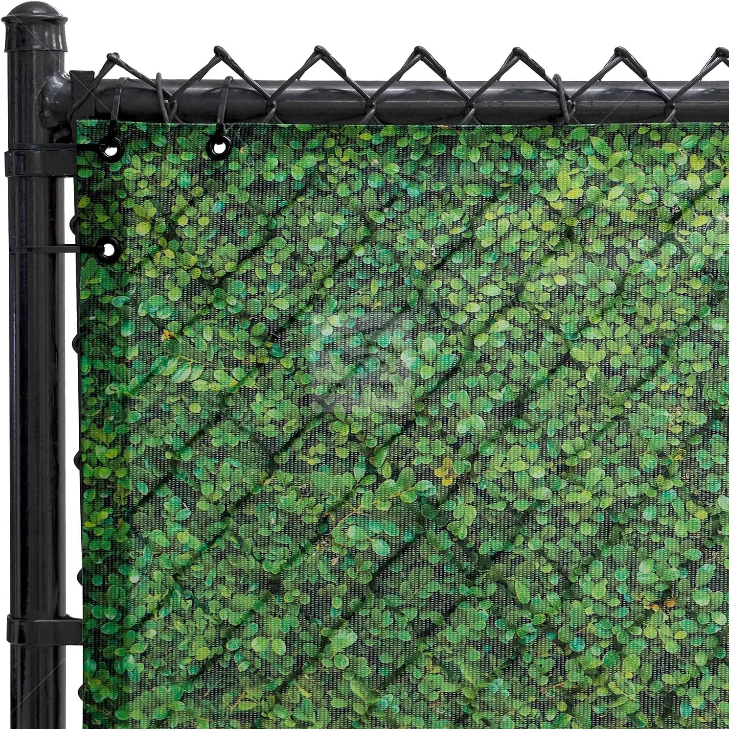 

Scenic Designer Fence Screen (Boxwood Hedge), Customized
