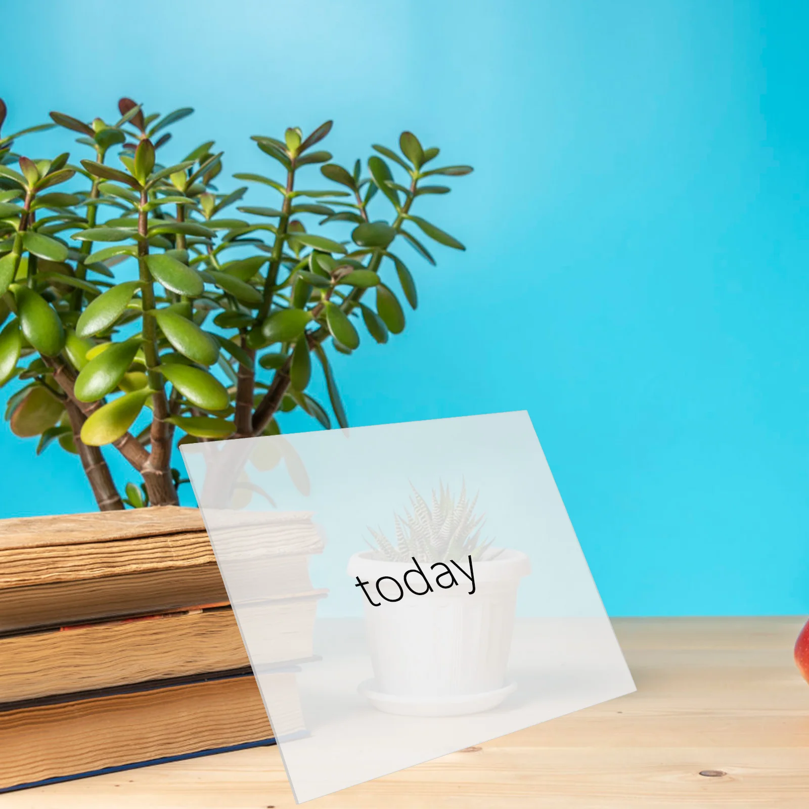 

6 Pcs Notice Board Memo Message Tabletop Desktop Note Dekstop Clear Sign Holder