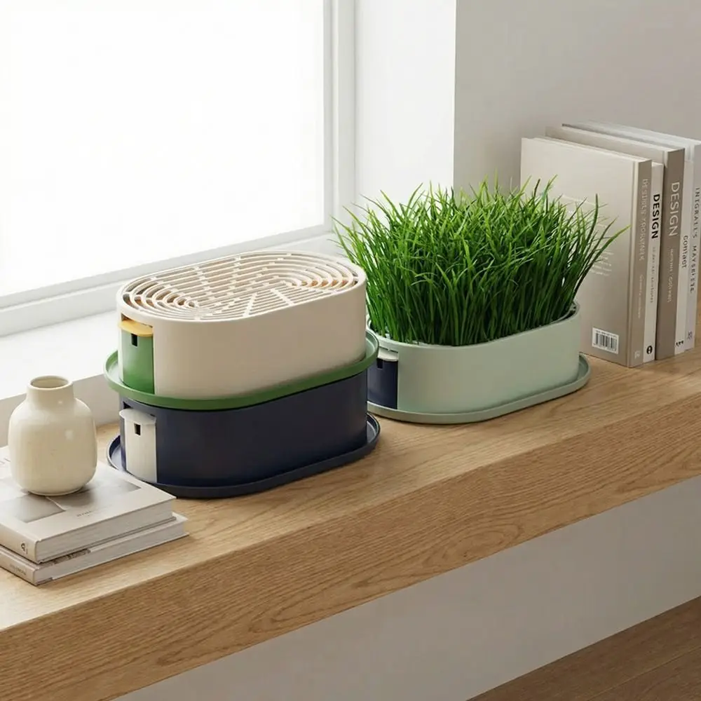 Layered Design Cat Grass Planter Box Removable With Drain Holes Hydroponic Planting Tray Prevent Overflow