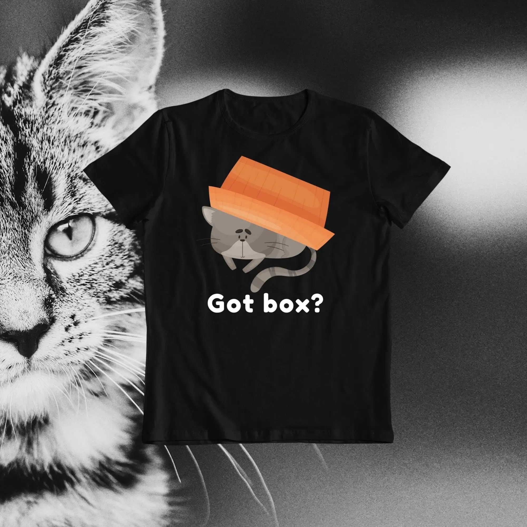 Got Box Cute Cat Funny T Shirt Lover Cardboard Toy