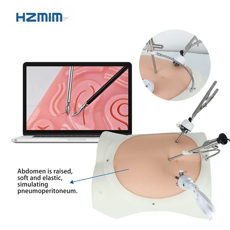 2025/Advanced  Vivid Abdominal  Trainer Box simulator  training box with