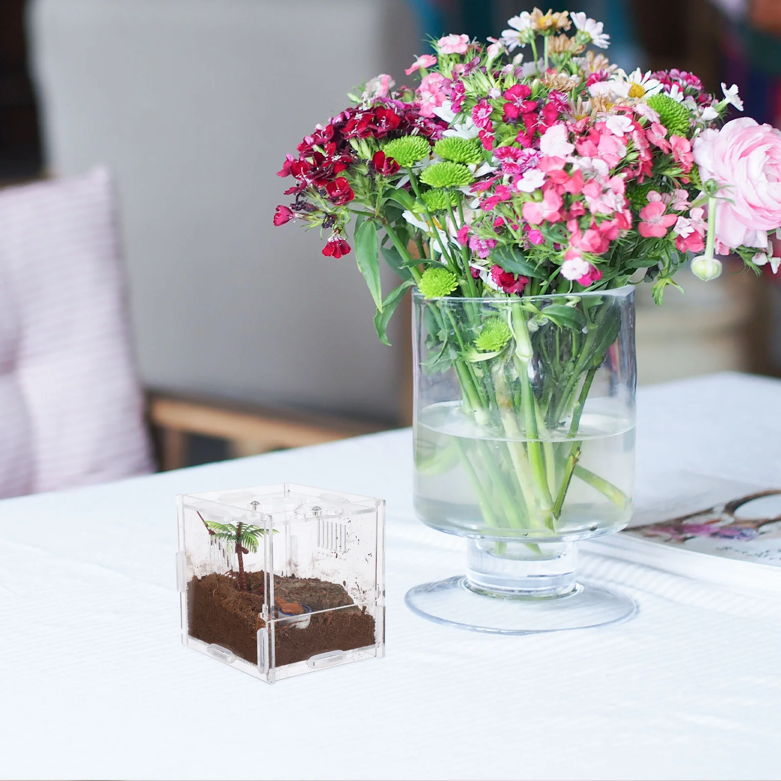 

Acrylic Reptile Breeding Box 4.52X4.32X4.13Inch Transparent Lightweight Habitat For Jumping Spider Tarantula Snail Insect