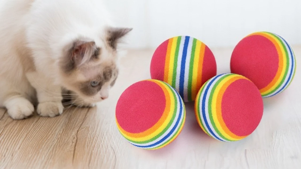 

Cat Toy Balls Interactive Rainbow EVA Ball Soft Automatic Jumping Ball Dog Chewing Training Interactive Toy Pet Supply