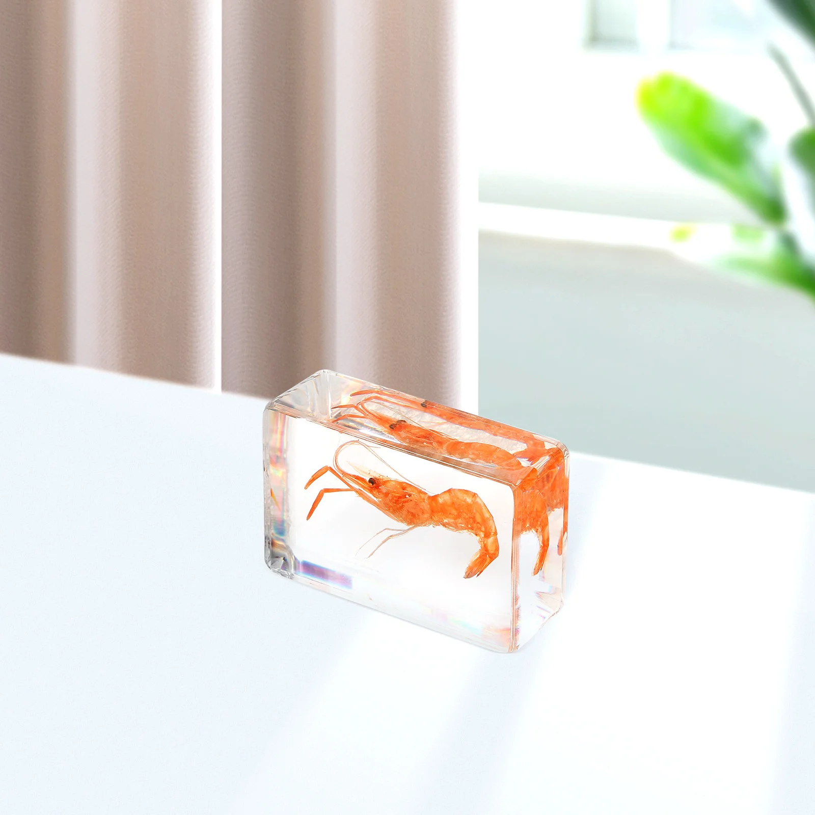 

Decor River Paperweight Lightweight Resin Science Collection Decorative Shrimp Resin Crafts Specimen Decoration Shrimp