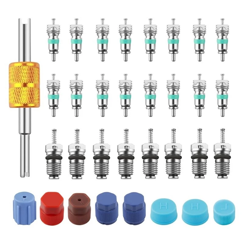 ABXN-High& Low Pressure A/C Caps/Removal Tool With 33PCS Car AC Valve Core Kit Valves Cores, Practical R134A/R12 AC Tools