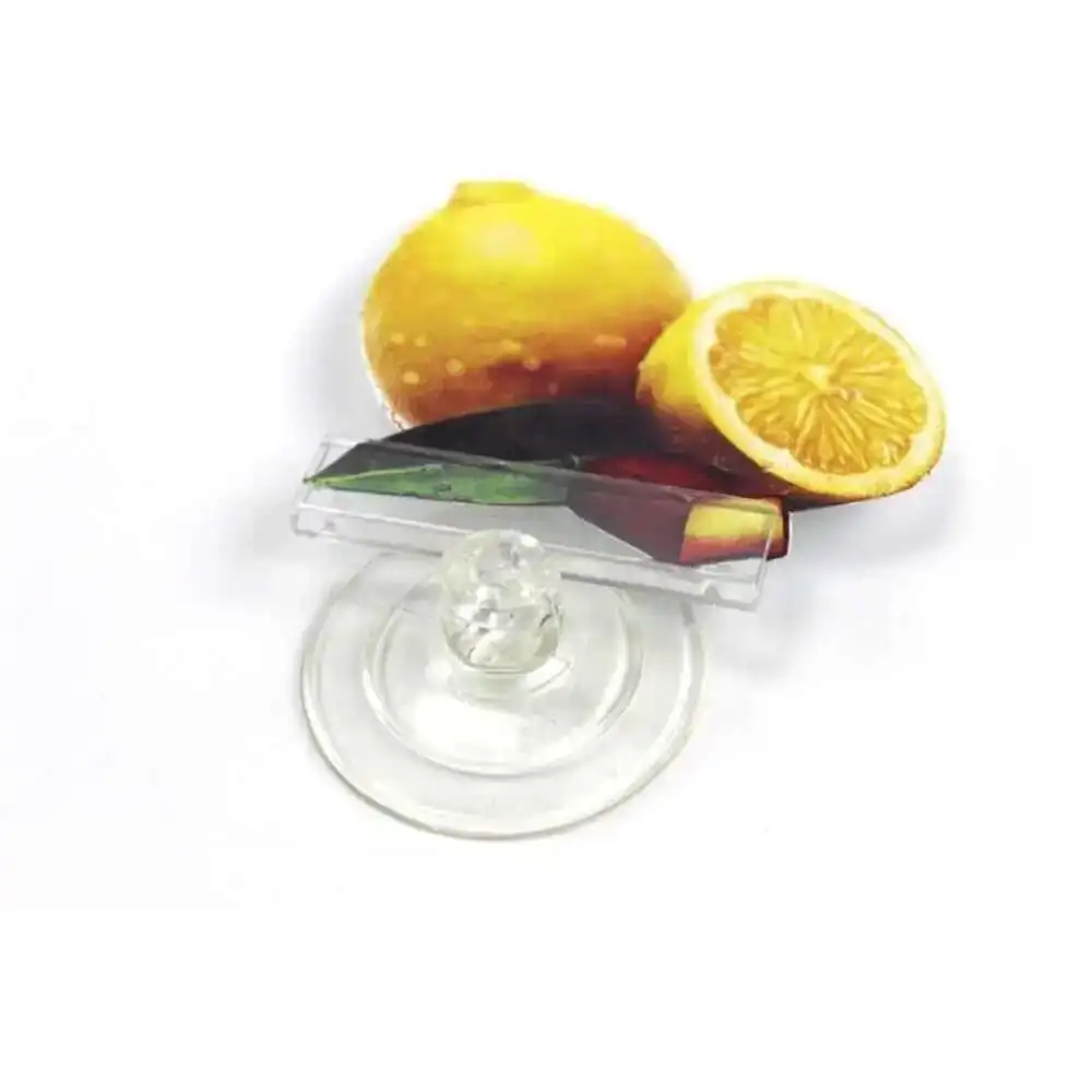 Pop Suction Sucher Cup Stable Base Clear Sign Display Promotion Price Tag Clips Holders Strong Succk Name Card Holder Rack