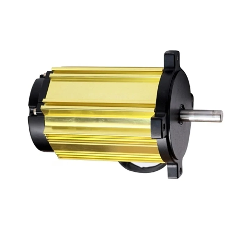 

Best quality electric roller shutter 220V DC motor brushless commutation explosion-proof