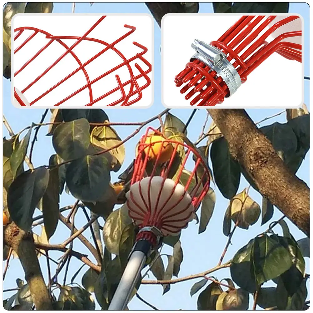 2Pcs Fruit Picking Device Compact Lightweight Labor Saving Fruit Harvester for Peach Pear Orchard Use Jujube Picker