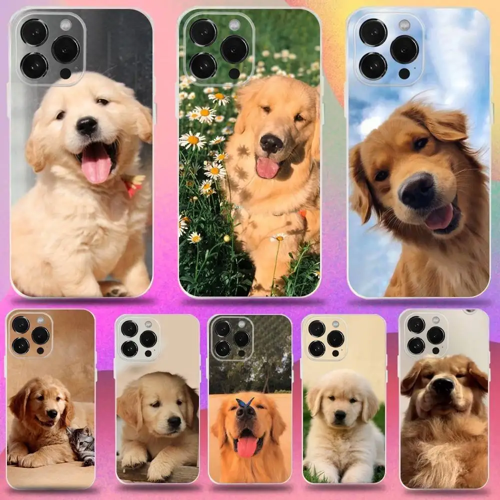 

Golden Retriever Dog fried Phone Case For iPhone 16,15,14,13,12,11 Pro,Max,Plus,X,XS,XR,SE,Mini Transparent Silicone Soft