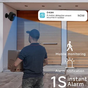 12 Main Sales Camera Alexa Compatible - №6