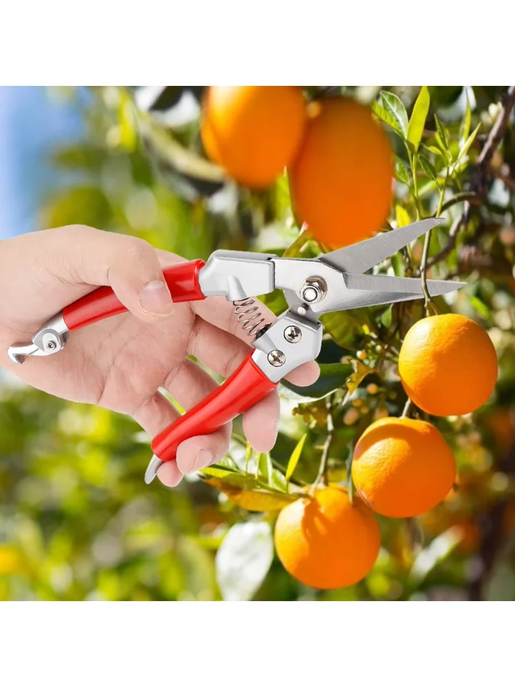 Plant Pruning Shears Straight  - Pruning Shears review and price