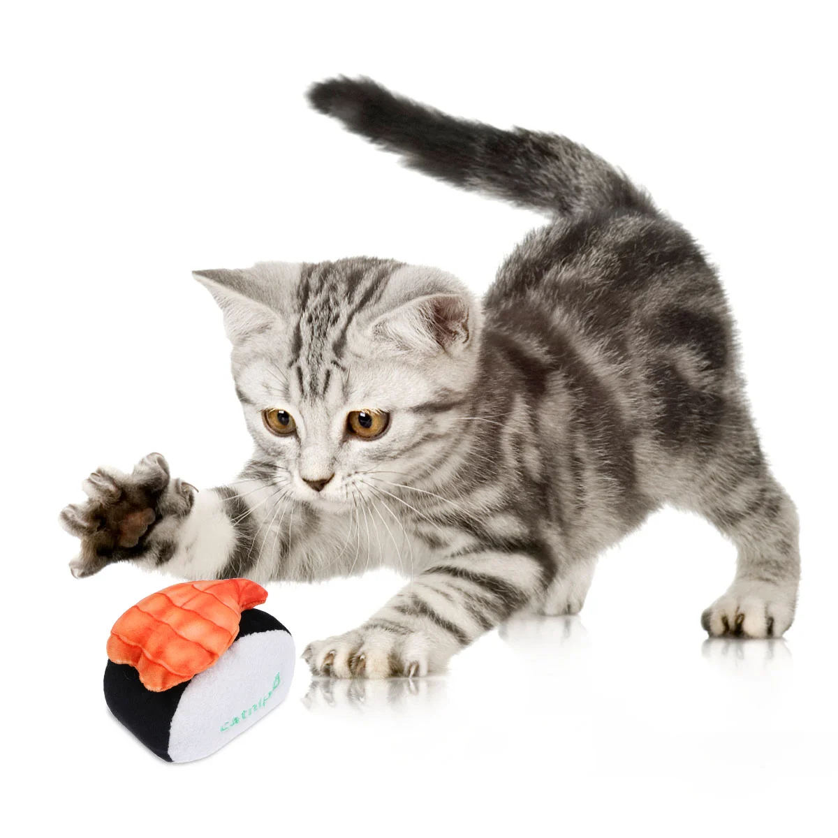 6 Pcs Cat Sushi Toy Puppy Teething Toys Aggressive Chewers Pet Dog Play Fetch Tooth Training