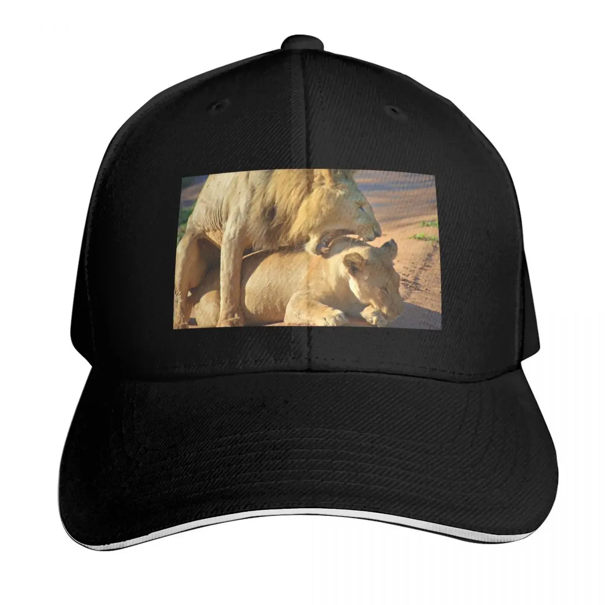 

Lions in romance Baseball Cap funny hat Christmas Hat luxury caps Woman Hats Men's