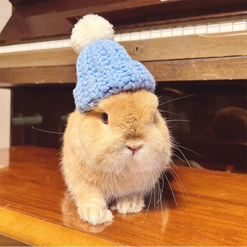 Rabbit Knitted Hat for Pet Rabbit Decorative Bunny Scarf Collar Small Animal Clothes Hat Guinea Pig Stuff Rabbit Pet Accessories